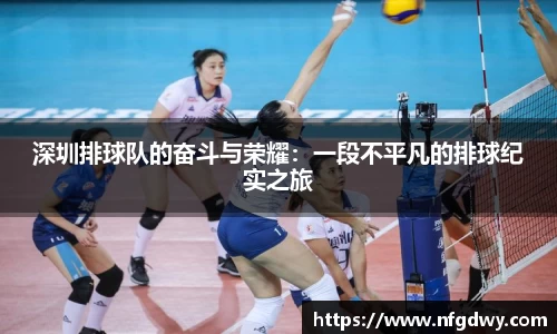 vwin德赢网页版